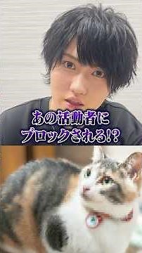 コレコレさんを裏切ったみけねこと喧嘩してブロックされました…#ポケカメン