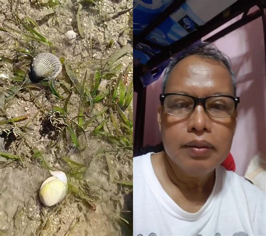 Ganito lang pala lumangoy ang mga "TULYA". Kayo ano tawag nyo dito sa masarap na shell fish na ito??? Write down your comments below. 🤔🤫🤔🤗🤔🤫🤗🤗🤗🤔🤥!!!! #highlightseveryonefollowers #fbreelsfypシ゚viralシ #sealife #shellfishdelight #copyrights | Henro Suyom