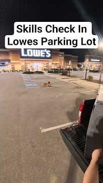 Skill Check with Apollo 😎