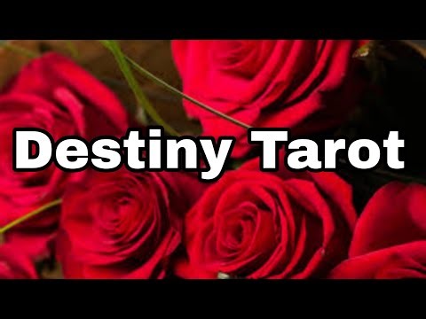 HaPpy#Destiny Tarot is live#ShivShakti#LordHanuman#Success#Growrh#LordShanidev#DivineSoul#Justice🍁♥️
