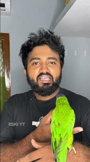 Check This Out!!! Complete Lorikeet Care Guide for Beginners! | ESKI YT
