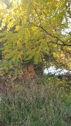 Didn't see ya there.