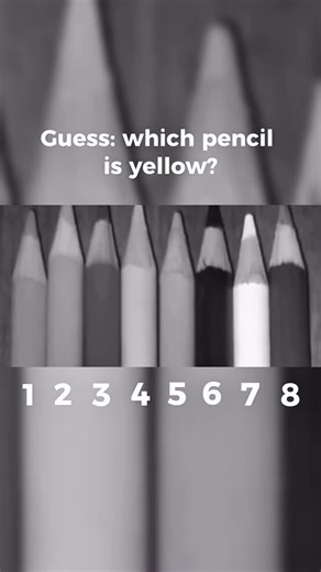 Artefacto learning platform on Instagram: "Can you guess which pencil is yellow? 🤔 This simple exercise reveals why professional artists often work with black-and-white references When you remove color, something magical happens — you start seeing value instead of hue. Value is what creates depth, drama, and dimension in your paintings Try this: take the photo reference for your next painting and convert it to black-and-white Where are the darkest darks? The lightest lights? How does the light 