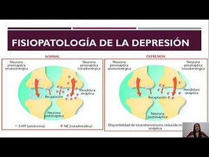 FISIOPATOLOGÍA DE LA DEPRESIÓN Y MECANISMO DE ACCIÓN DE UN FÁRMACO ANTIDEPRESIVO