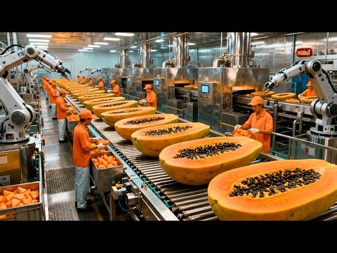 Behind a Modern Papaya Factory: Field to Dessert (Full Process)
