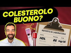 High HDL: Is It Really a Good Thing? The Truth About “Good Cholesterol”