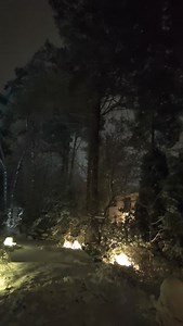 Fireworks, as heard, but not really seen, from a Warsaw garden | Anne Applebaum