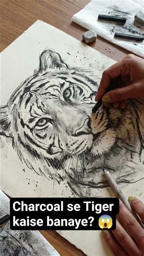 ​"Charcoal Magic: Tiger Sketch 🐯"​,"Process of drawing a Tiger ✨"#shorts #drawing
