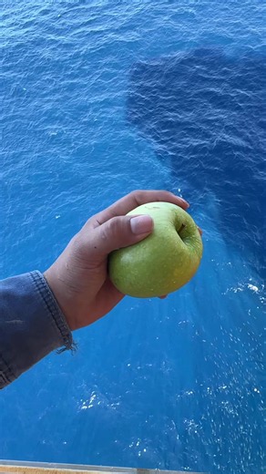 Discover the Benefits and Recipes of Green Apples