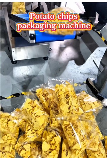 Potato Chips Packaging Machine Overview