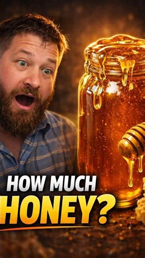 How Much Honey Do Bees REALLY Make in a Year?