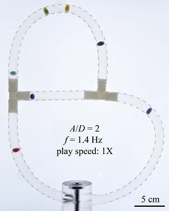 1 - Flow Experiments on a Network With Two Loops