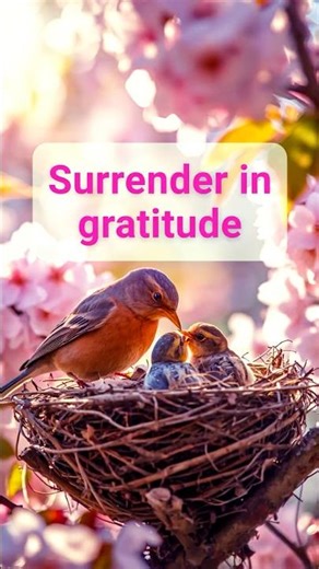 This prayer before breakfast changed everything #gratitudeprayer #prayershort #fyp