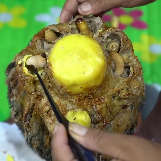 60K views · 314 reactions | Itchy Dry Scalp Dandruff Removal Satisfying Maggot Worms Biggest Hole​ #2093 Part 2 | Help remove ticks | Facebook