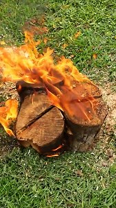 135K views · 562 reactions | How to Build the Perfect Log Fire with Just a Stump | Beamish DIY | Facebook