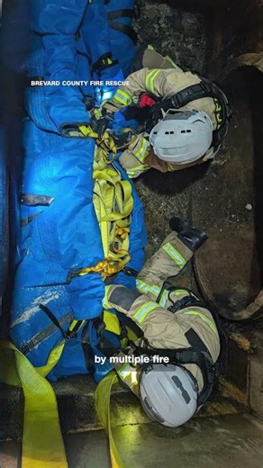 Storm Drain Manatee Save🐋🚨💪🌴