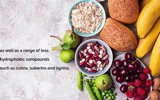 Total Dietary Fiber Video Method (AOAC Method 991.43_AACC method 32-07.01) with