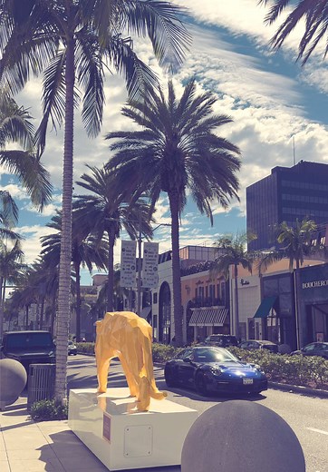Shopping Experience on Rodeo Drive in Beverly Hills