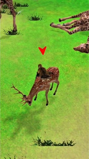 Falcon vs Wolf & Wild Animals | Epic Jungle Adventure Gameplay
