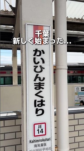 海浜幕張でランチするならここ！夏季限定のかき氷もスタートしてたよ！