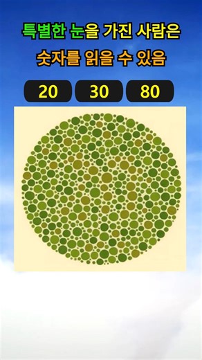 특별한 눈을 가진 사람만 숫자가 보임 #눈건강테스트 #시력테스트 #대비감도시력