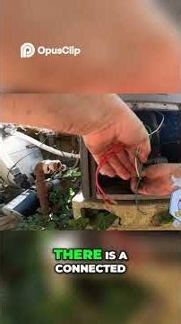 Pool Heater Repair Clean Your Pilot Light & Burner Tray