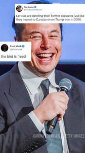 Leftists everywhere are crying into their pillows after Elon Musk bought Twitter. | Western Journal TV