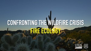 #TontoNF's Fire Ecologist Mary Lata discusses how fire ecology is essential for developing effective prescribed fire burn plans resulting in landscape-scale resiliency. #WildfireCrisisStrategy #HighwayTanksTFPA | U.S. Forest Service-Tonto National Forest