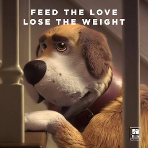 Millions of pets have lost with Hill's. Ask your Pet Valu Animal Care Expert about Hill's Science Diet Perfect Weight Foods. | Pet Valu