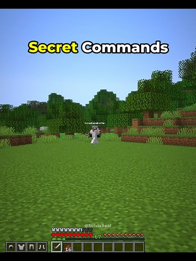 Minecraft Secret Commands Moment 💀 #minecraft | minecraft
