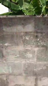 Trinidad and Tobago Police Service on Reels