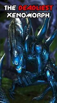 THE XENOMORPH THAT EVOLVED 🔥👑 | (AvP Lore) #aliens #avp