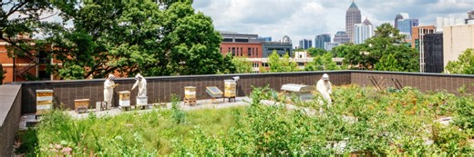 Featured Project: Kendeda Building for Innovative Sustainable Design - Greenroofs.com
