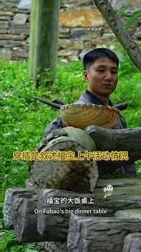 6.10穿插式简要叙述福宝上午的活动情况#大熊猫 #福宝#大熊猫福宝 #푸바오 #panda #fubao #大熊貓 #大熊貓福寶#대왕판다#자이언트