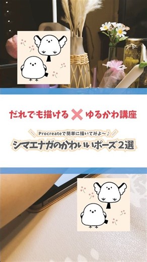 【#211 だれでも描ける！ゆるかわ講座シリーズ】⭐️Procreateで簡単に描いてみよう⭐️「シマエナガの可愛いポーズ２選🦢🕊️」を一緒に描いてみよう👩‍🎨🎨✨