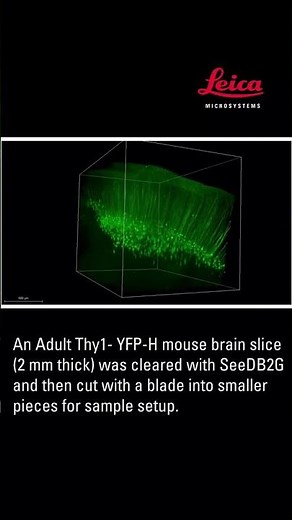Leica Microsystems STELLARIS DLS