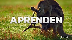 Animal - Tráiler oficial Netflix