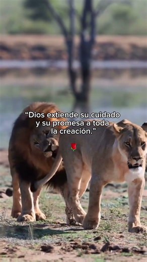 Génesis 9:10 — Dios cuida toda la creación 🥰