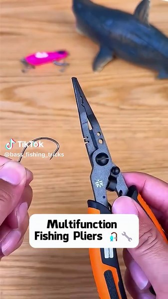 Bass Fishing on TikTok