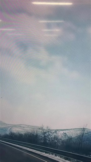 fenzhongl (@fenzhongl)’s videos with original sound - fenzhongl