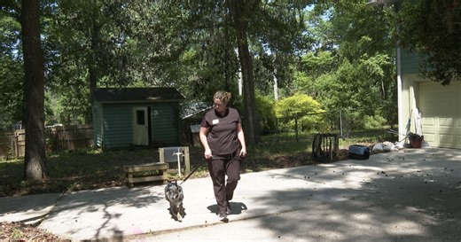 Leon County Humane Society marks 65 years of animal 'rescue, rehabilitation and adoption'