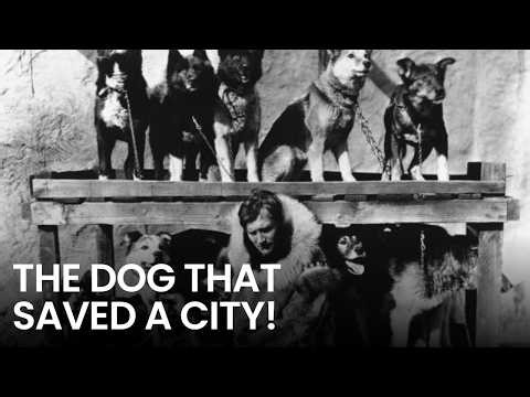 The Real Story of Balto and the 1925 Race Against Death