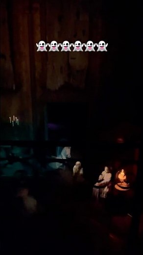 Haunted Mansion Ride, Disney World Disneyland!