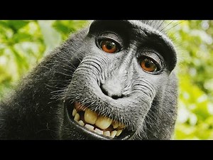 Only If Life Could Be A Dream.