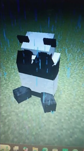 the worried pand... (in minecraft java edition)