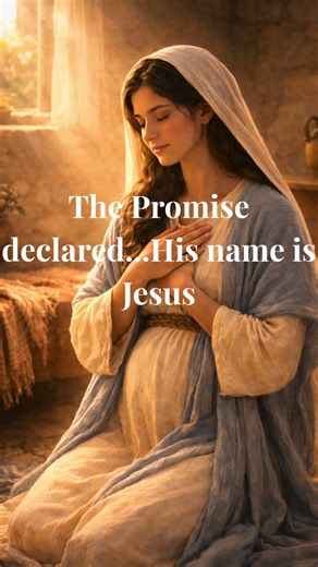 The Birth of Jesus Christ | The Promise is Fulfilled #BirthOfJesus #BiblicalRealms #JesusChrist