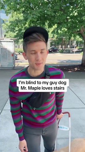 664K views · 90K reactions | 瑩When Paul first got his guide dog, i worried about them every time they left the house alone. But I very quickly realized I had nothing to worry about. Paul is in very good paws!! #retinitispigmentosa #blind #guidedog #amazingdog #interabled #couplegoals #disabilitypride | Matthew and Paul | Facebook