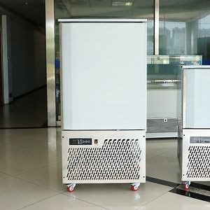 [Hot Item] Prosky High Quality Fast Blast Chiller Freezer