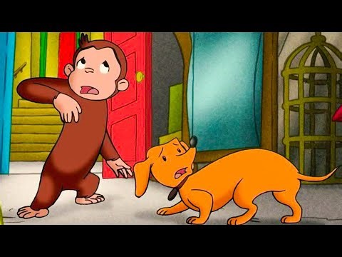 Theres A Sound in the Basement... 🐶 | Curious George Compilation | Adventure & Play