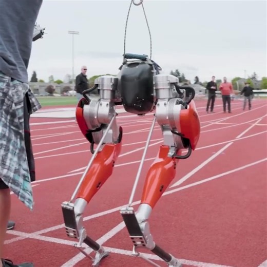 This robot runs faster than me 😩 | In The Know